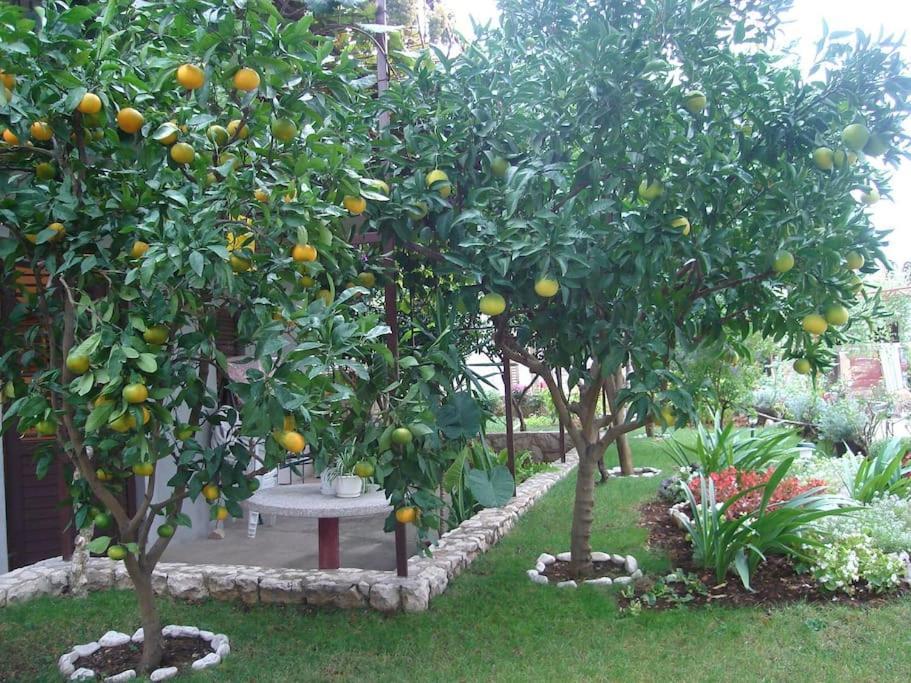 Mia - Spacious On 85 M2 With Beautiful Sea View * Trogir